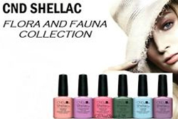 Встречайте: новая коллекция CND Shellac «Flora&Fauna» уже в салона!